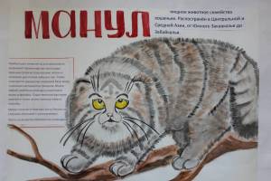Раскраска животные красной книги россии для детей #23 #307951