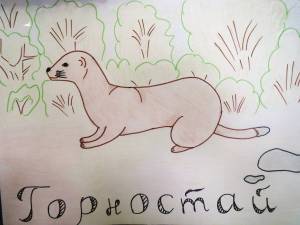 Раскраска животные красной книги россии для детей #25 #307953
