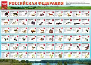 Раскраска животные красной книги россии для детей #26 #307954