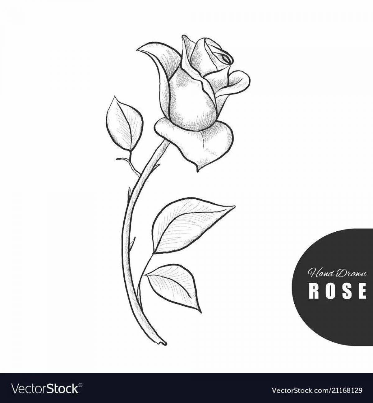 Жаба и роза #39