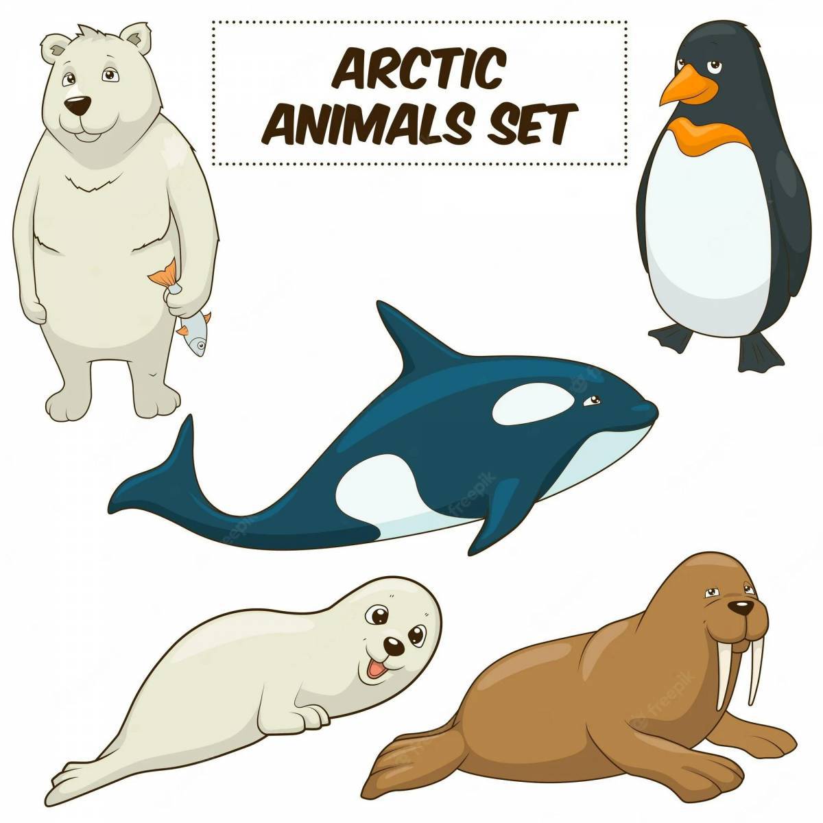 Животные антарктиды для детей #26