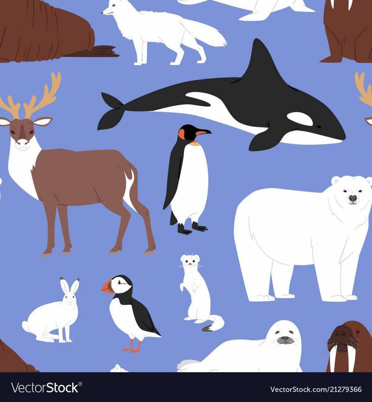 Животные арктики для детей #21