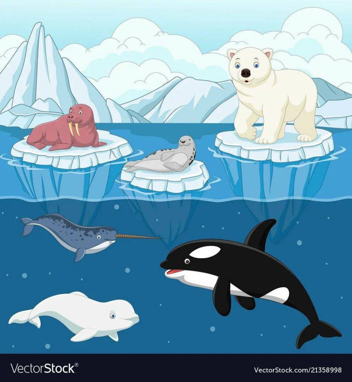 Животные арктики для детей #38