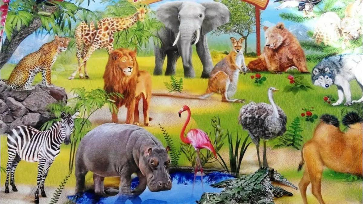 Животные африки для детей 4 5 лет #23