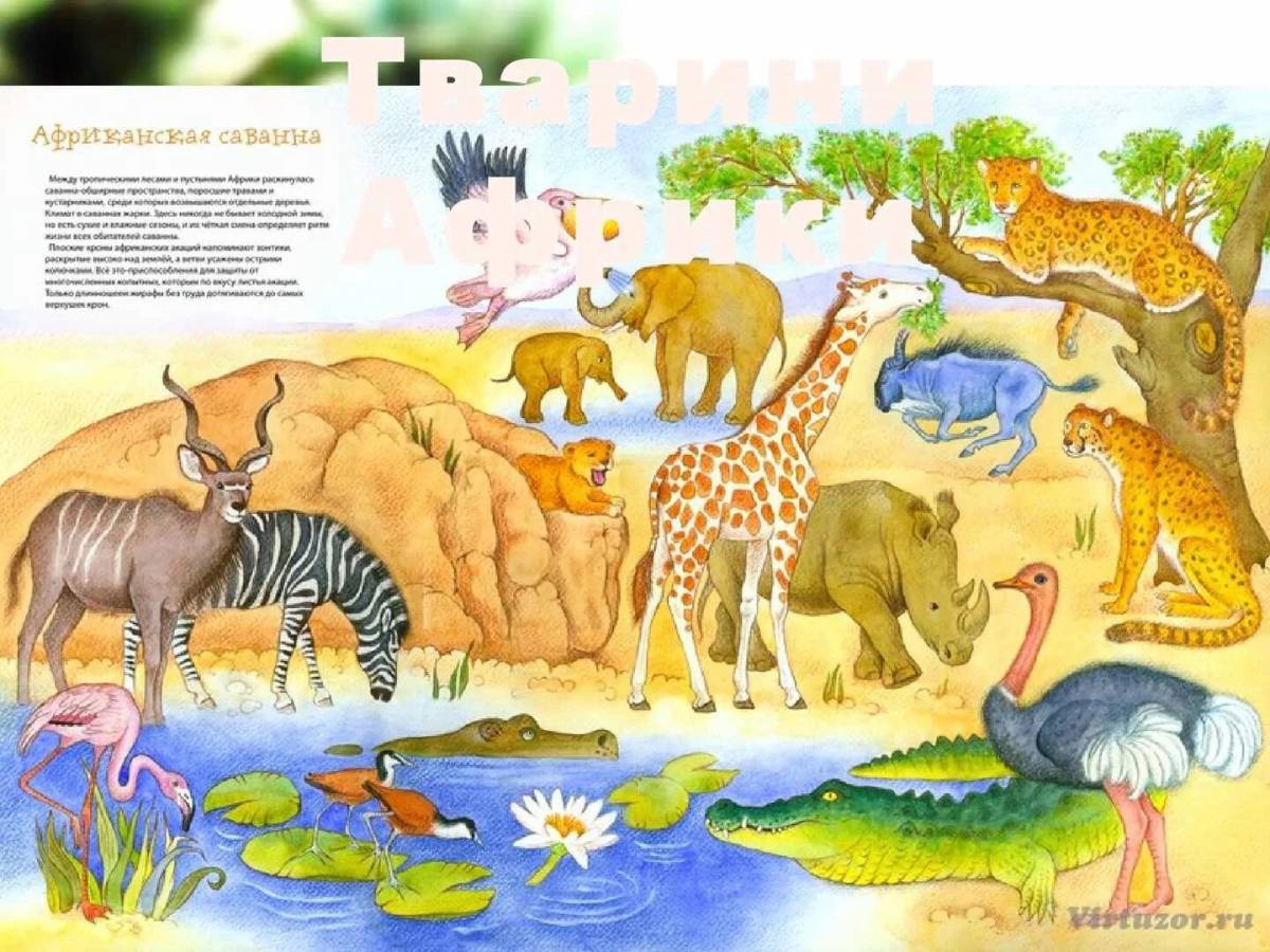 Животные африки для детей 4 5 лет #24