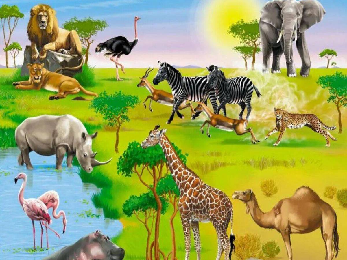 Животные африки для детей 5 7 лет #13