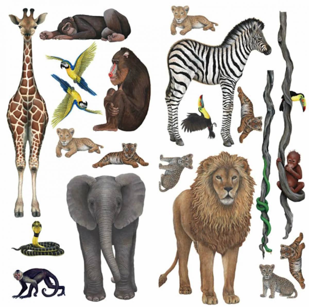 Животные африки для детей 6 7 лет #32