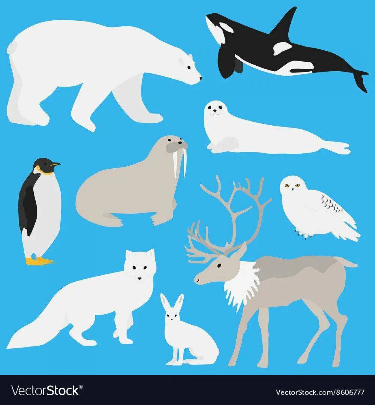 Животные крайнего севера для дошкольников #11