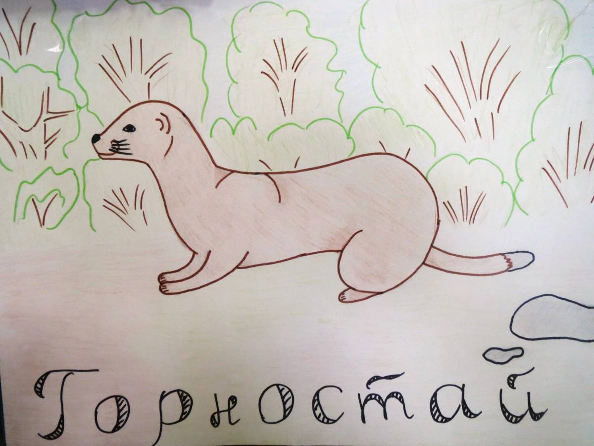 Животные красной книги россии для детей #25