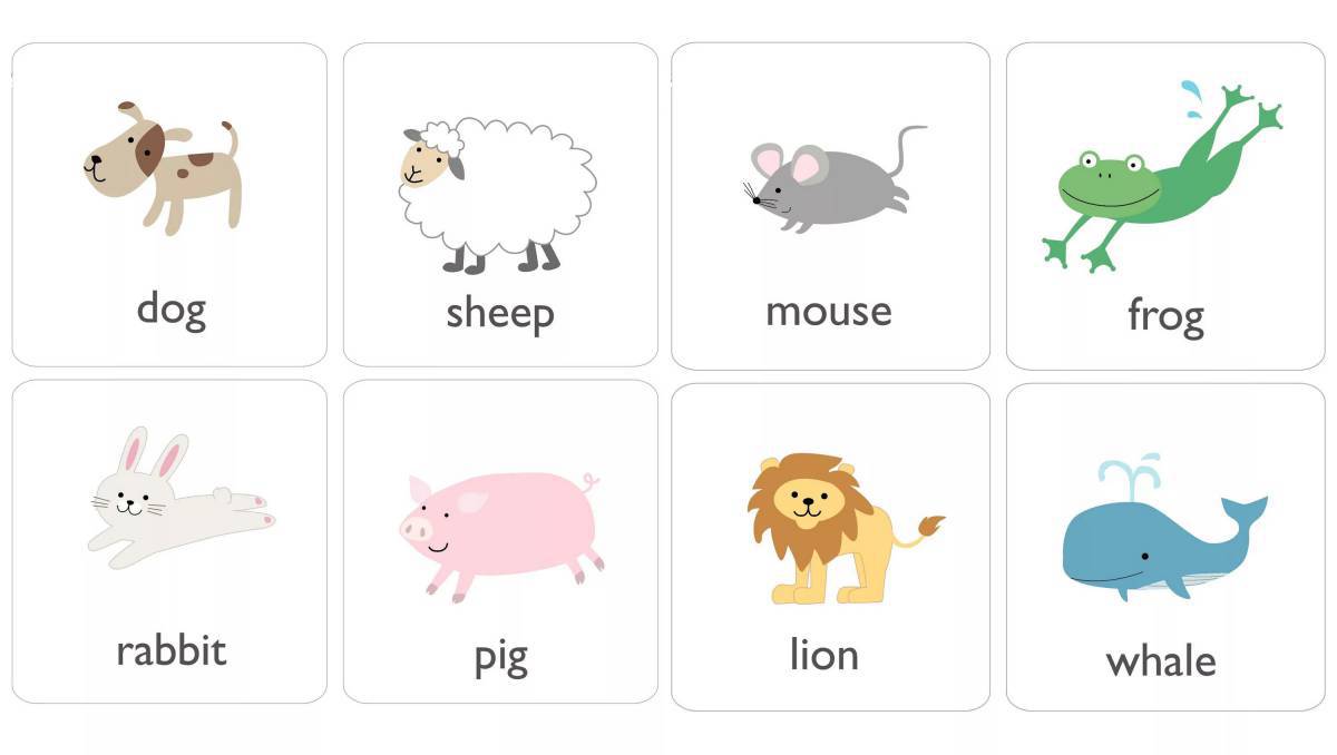 Животные на английском #1