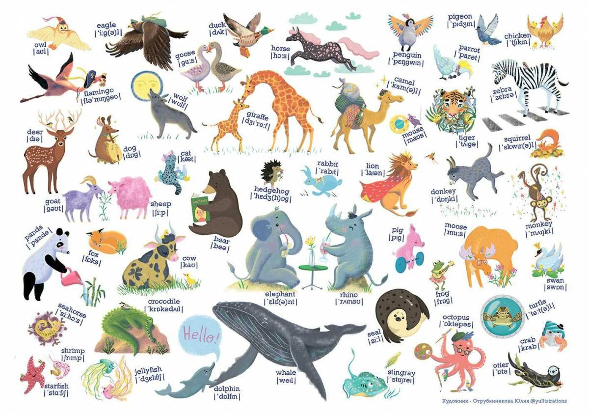 Животные на английском #3