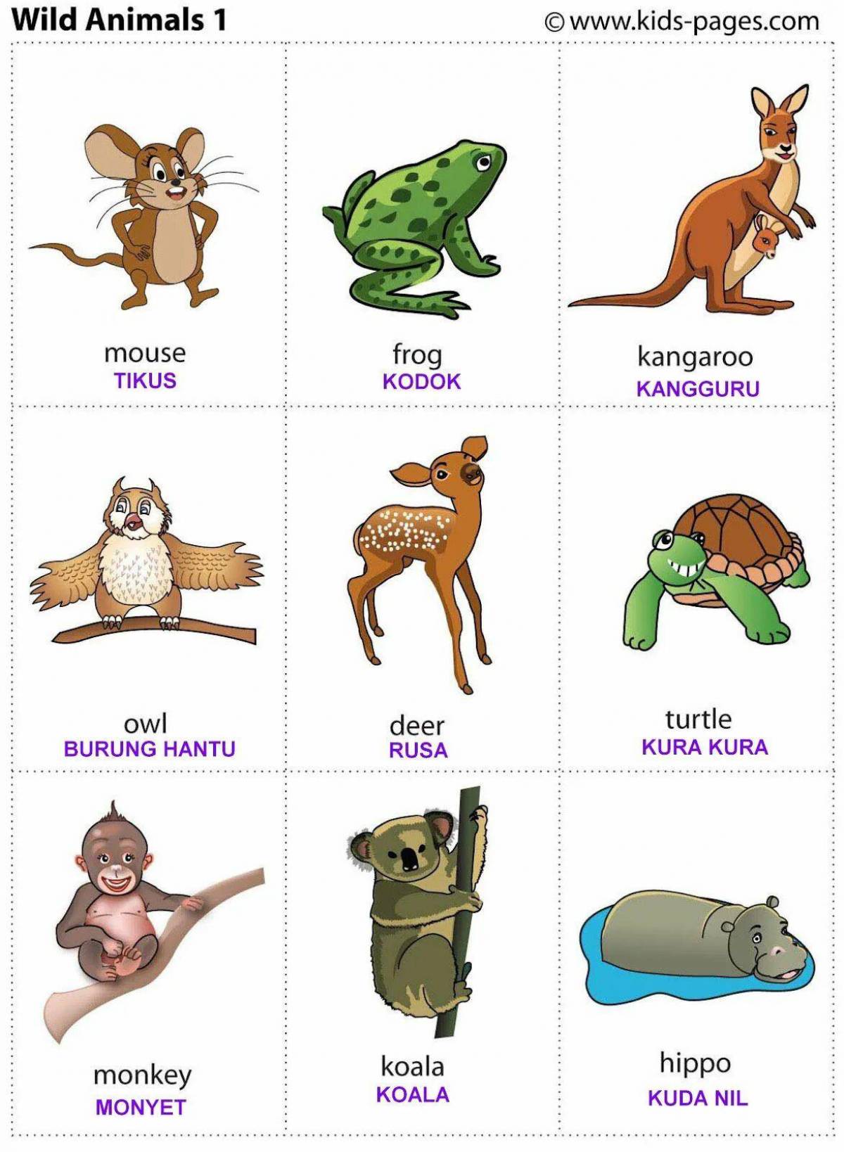 Животные на английском #5