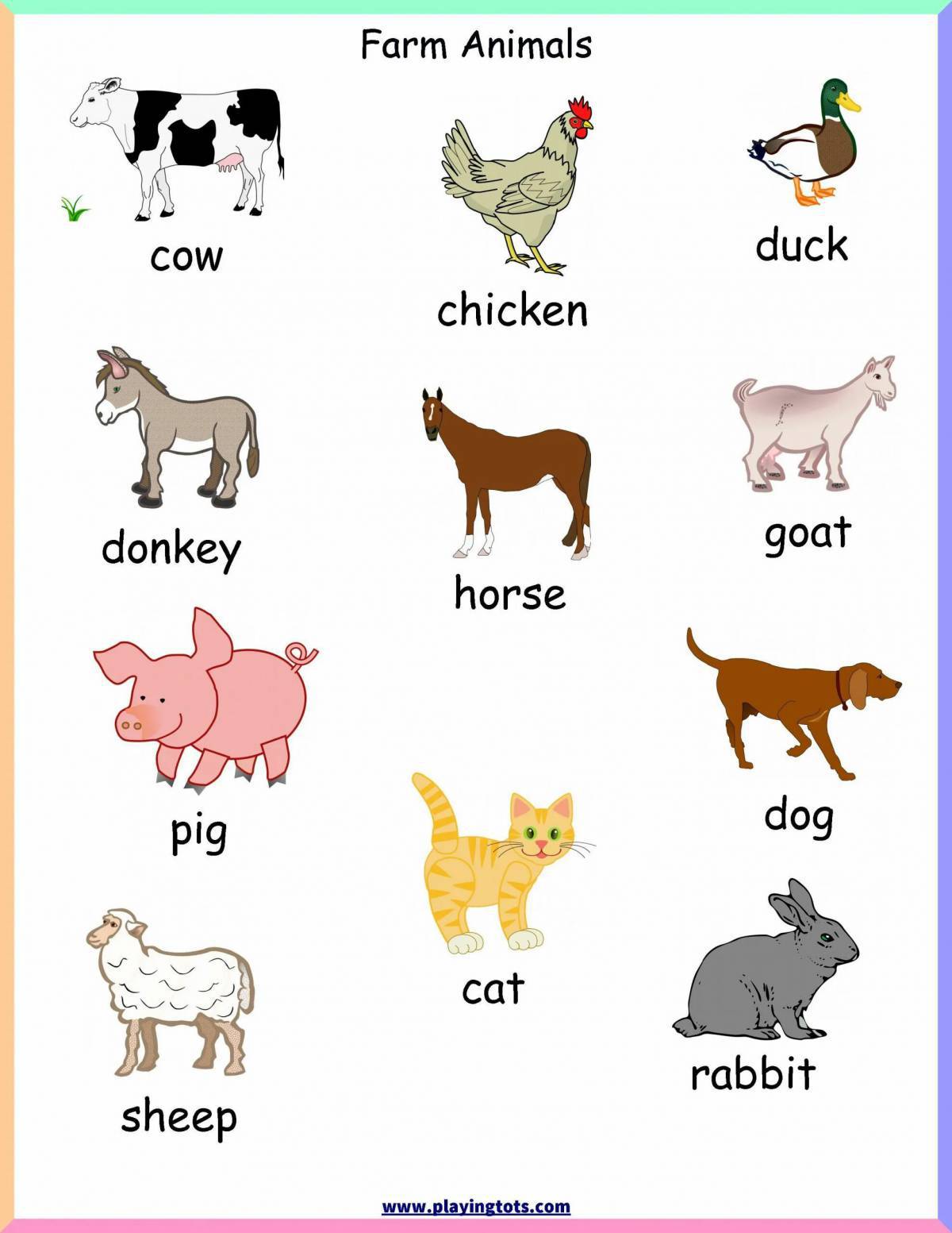 Животные на английском #7