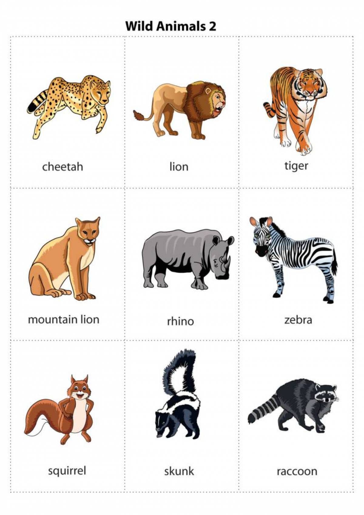 Животные на английском #8