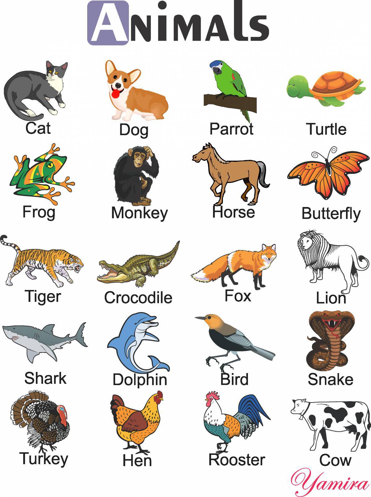 Животные на английском #11
