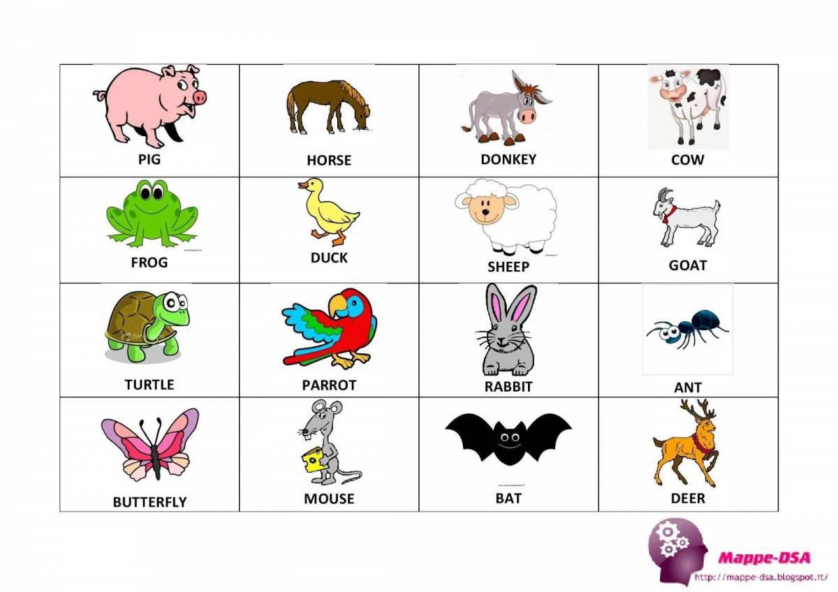 Животные на английском #13