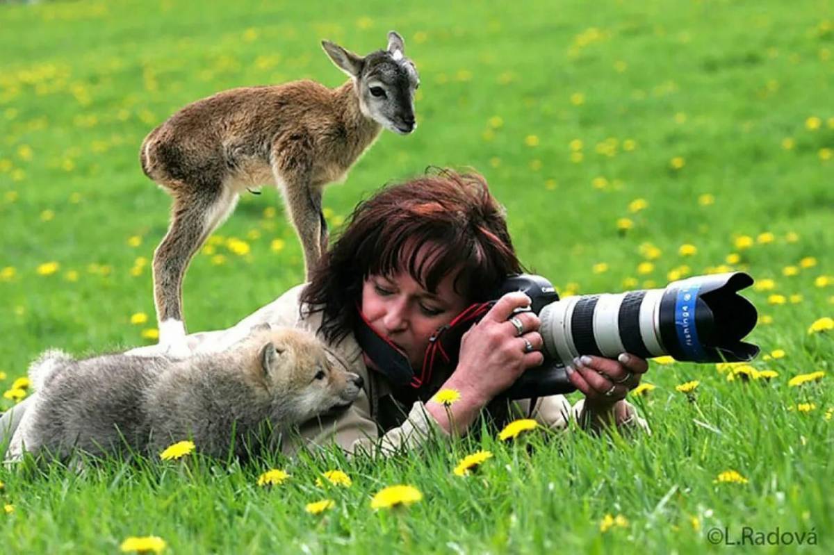 Фотограф фотографирует животных. Люди и животные. Люди и животные на природе. Фотоохота на животных.