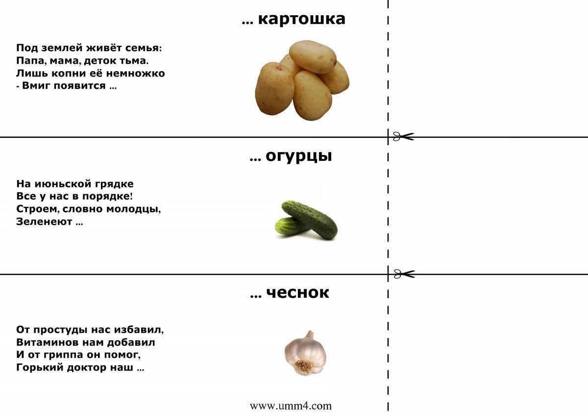 Загадки для детей с рисунком