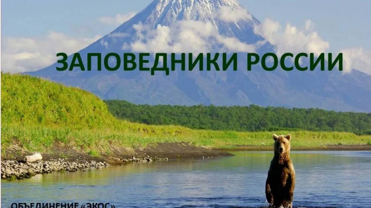 Картинки про заповедники россии