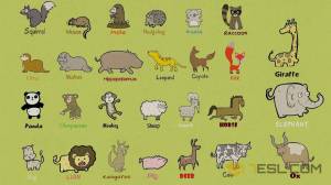 Раскраска животные на английском #15 #308001