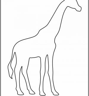 Раскраска жираф без пятен для детей #22 #309010