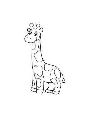 Раскраска жираф без пятен для детей #24 #309012