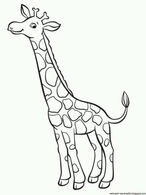 Раскраска жираф без пятен для детей #30 #309018