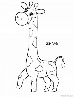 Раскраска жираф для детей 2 3 лет #12 #309036