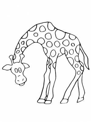Раскраска жираф для детей 2 3 лет #25 #309049