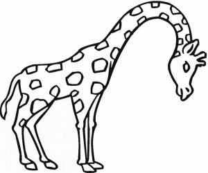 Раскраска жираф для детей 2 3 лет #34 #309058