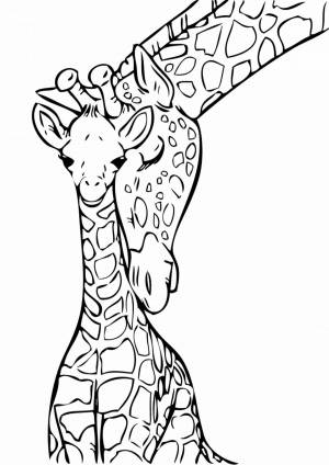 Раскраска жираф для детей 6 7 лет #11 #309071