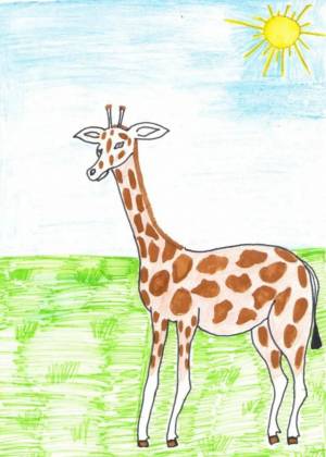 Раскраска жираф для детей 6 7 лет #21 #309081