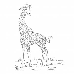 Раскраска жираф для детей 6 7 лет #27 #309087