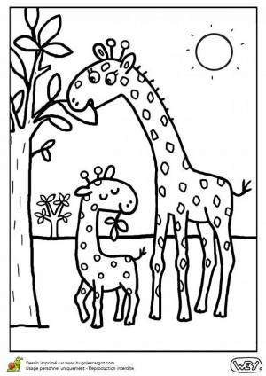 Раскраска жираф для детей 6 7 лет #35 #309095