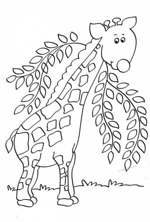 Раскраска жираф для детей 6 7 лет #38 #309098