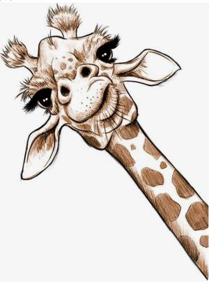 Раскраска жираф рисунок #1 #309100