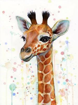 Раскраска жираф рисунок #17 #309116