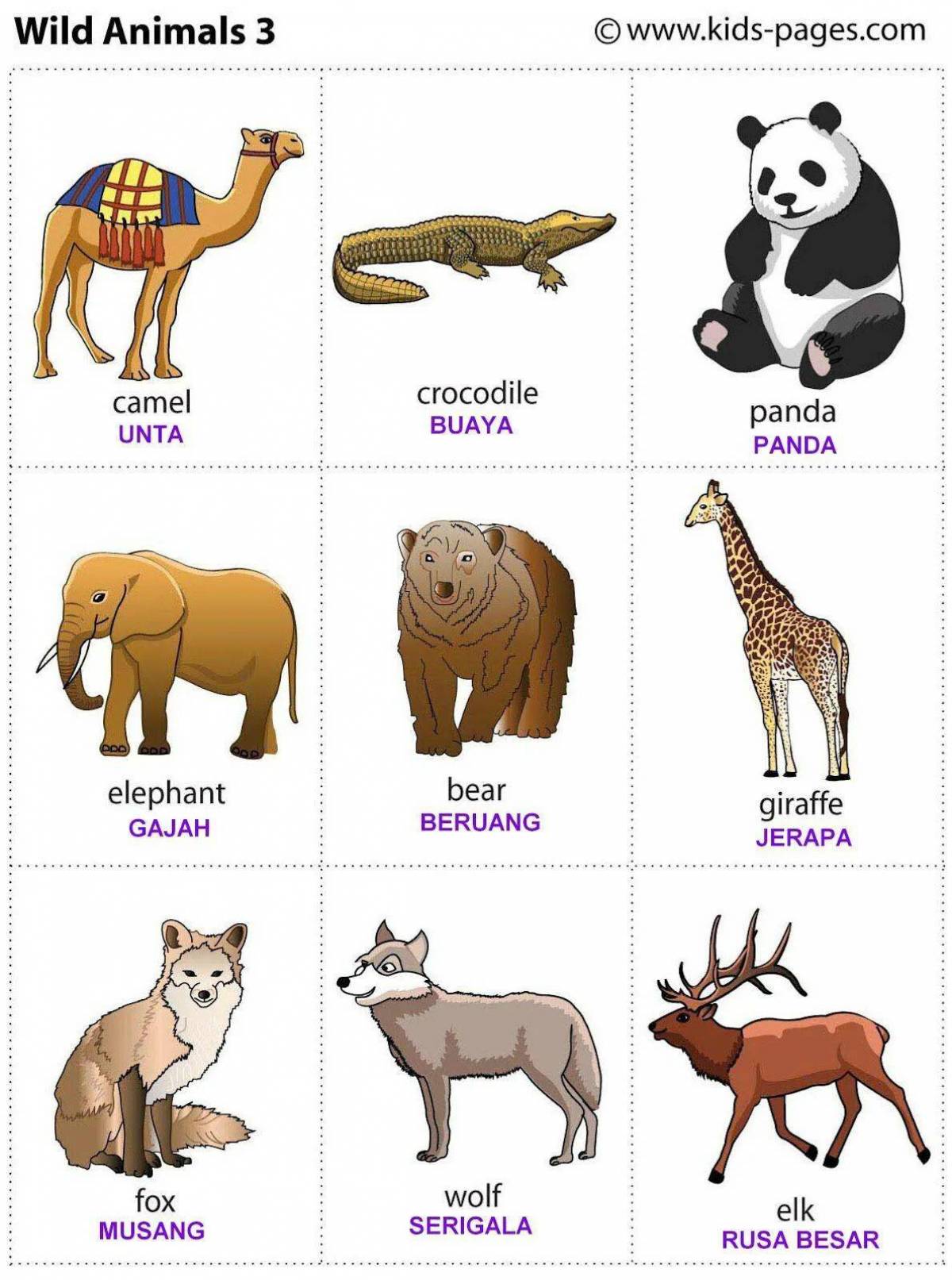 Животные на английском #20