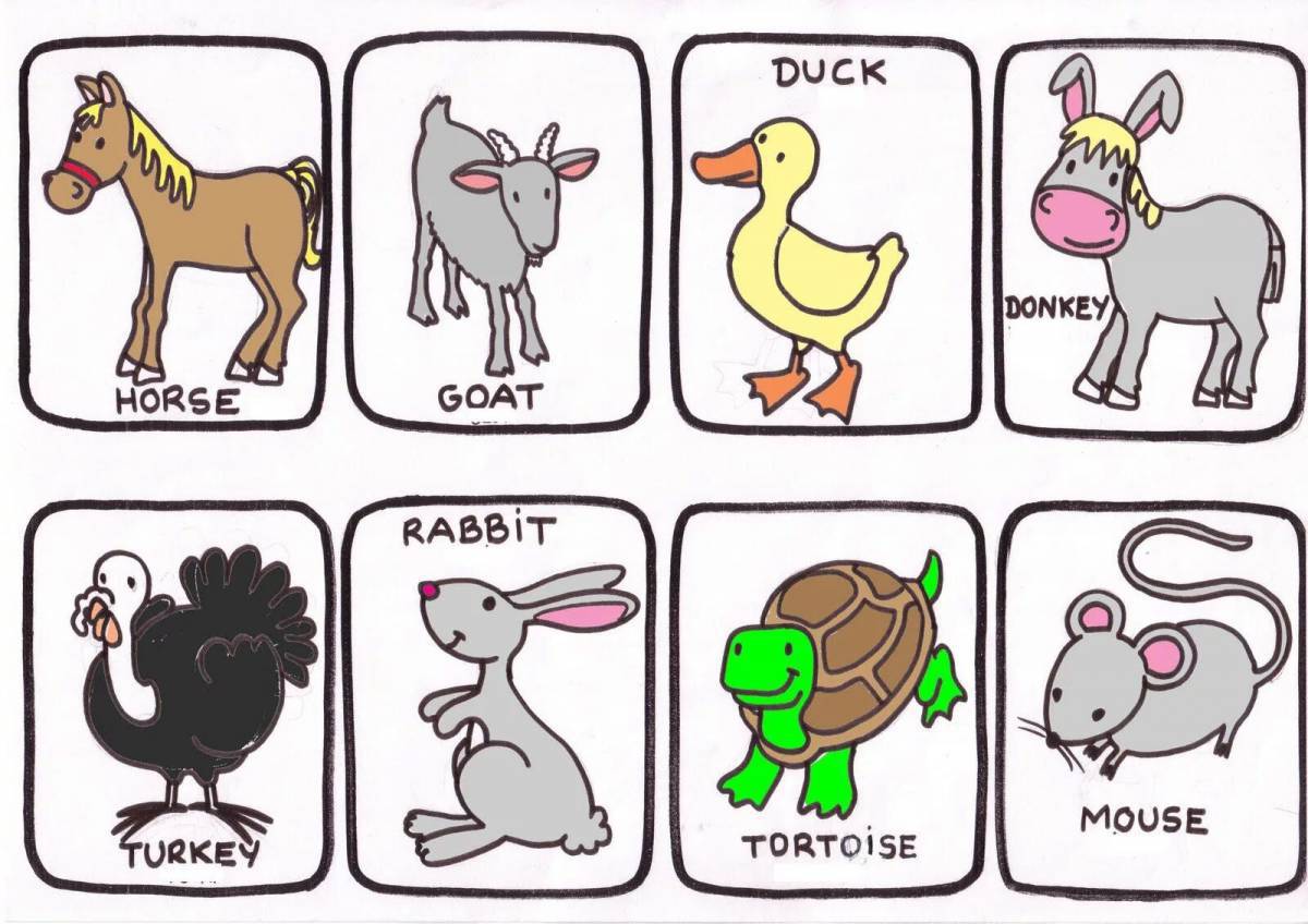 Животные на английском #24