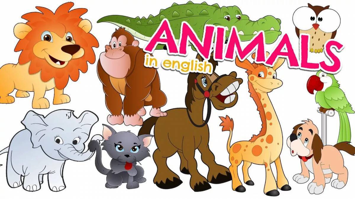 Животные на английском #27