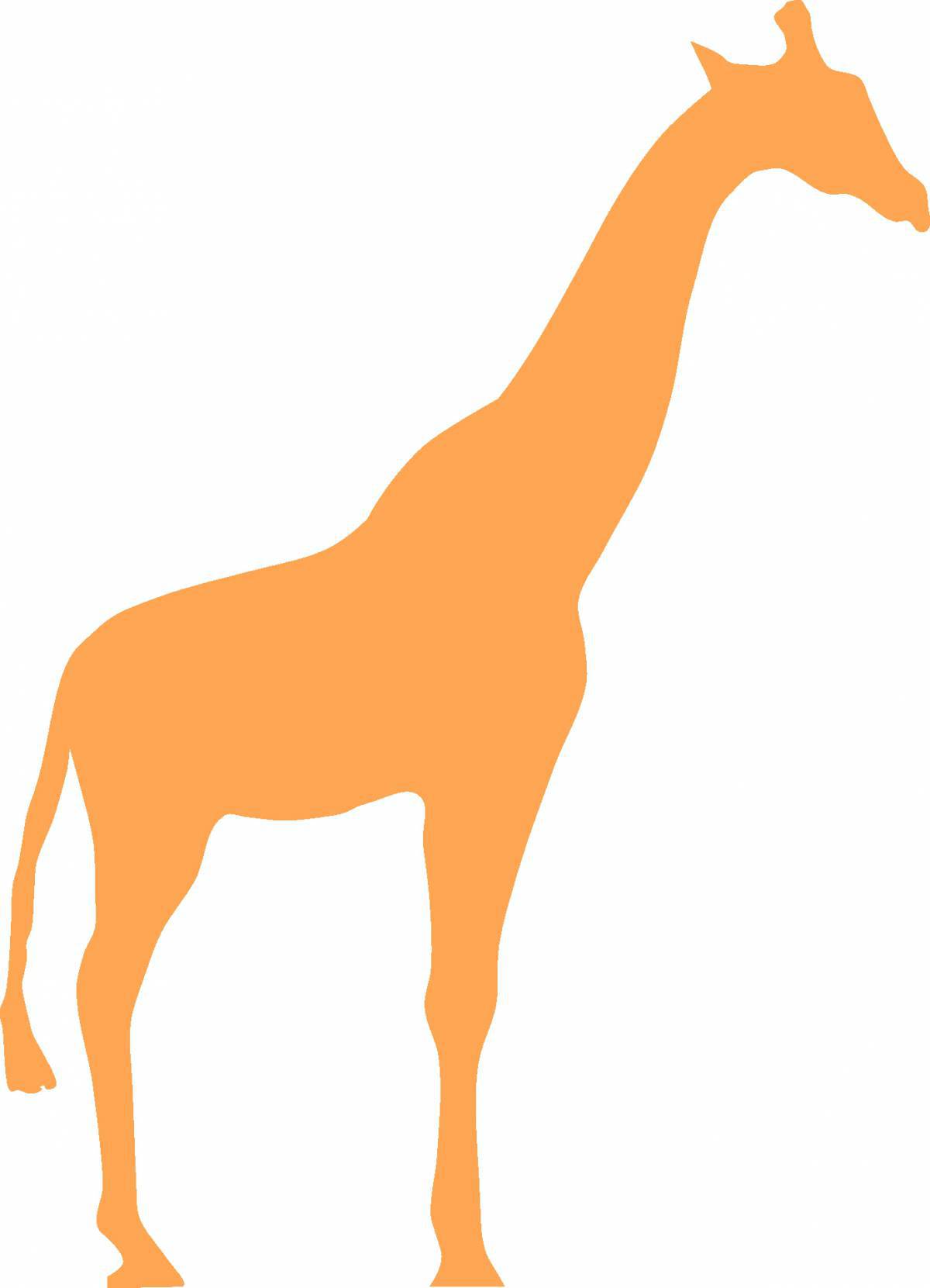 Жираф без пятен #7