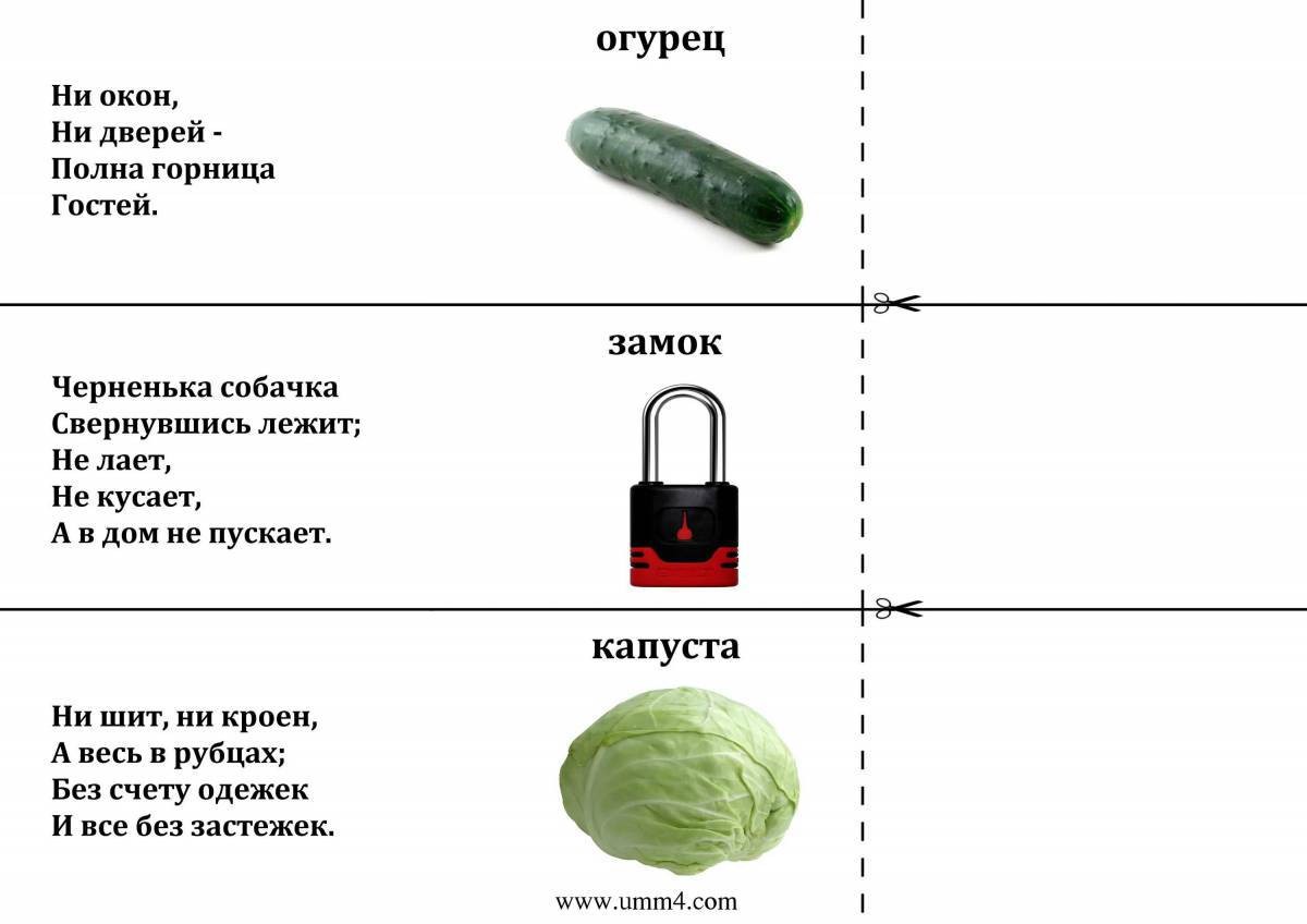 Картинки Загадки для детей (39 шт.) - #14809