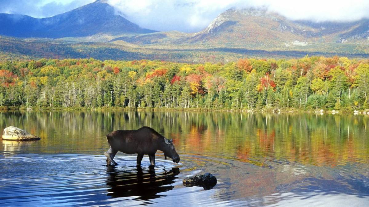 Картинки с заповедниками