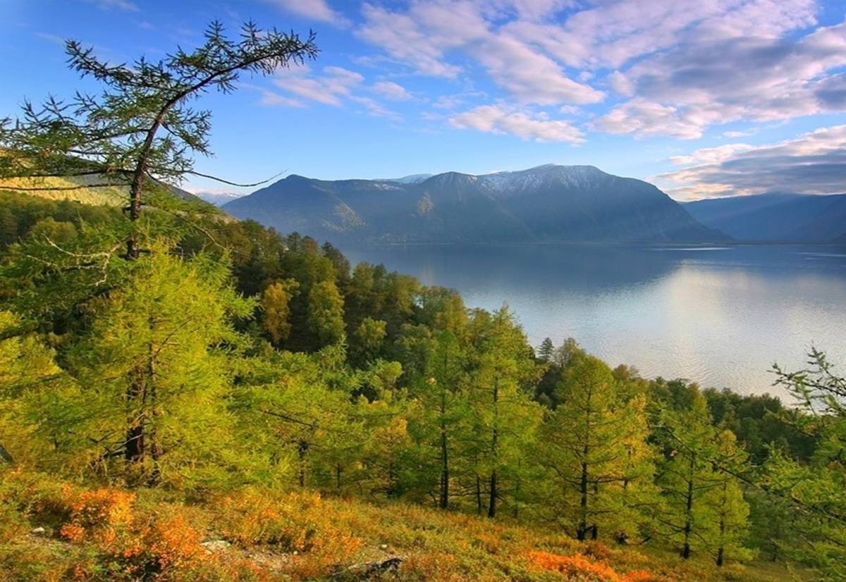 алтайский заповедник горы