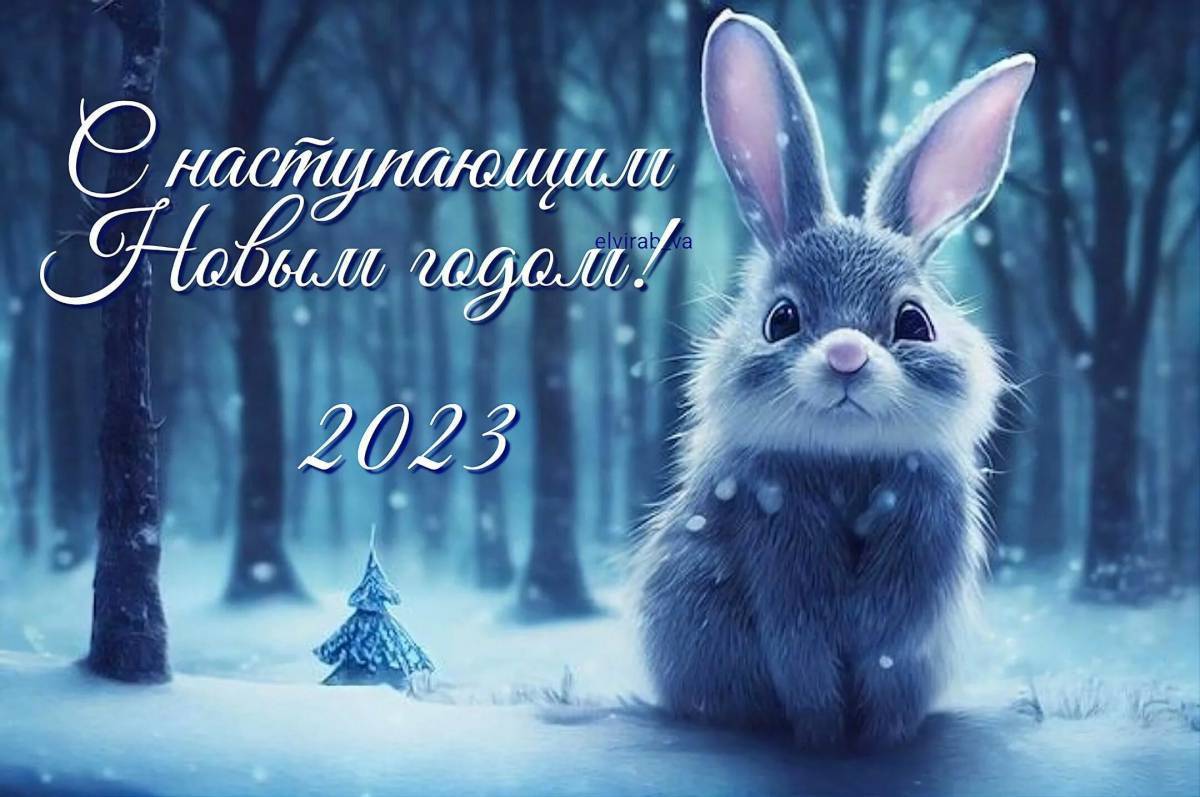 Картинка новый 2023