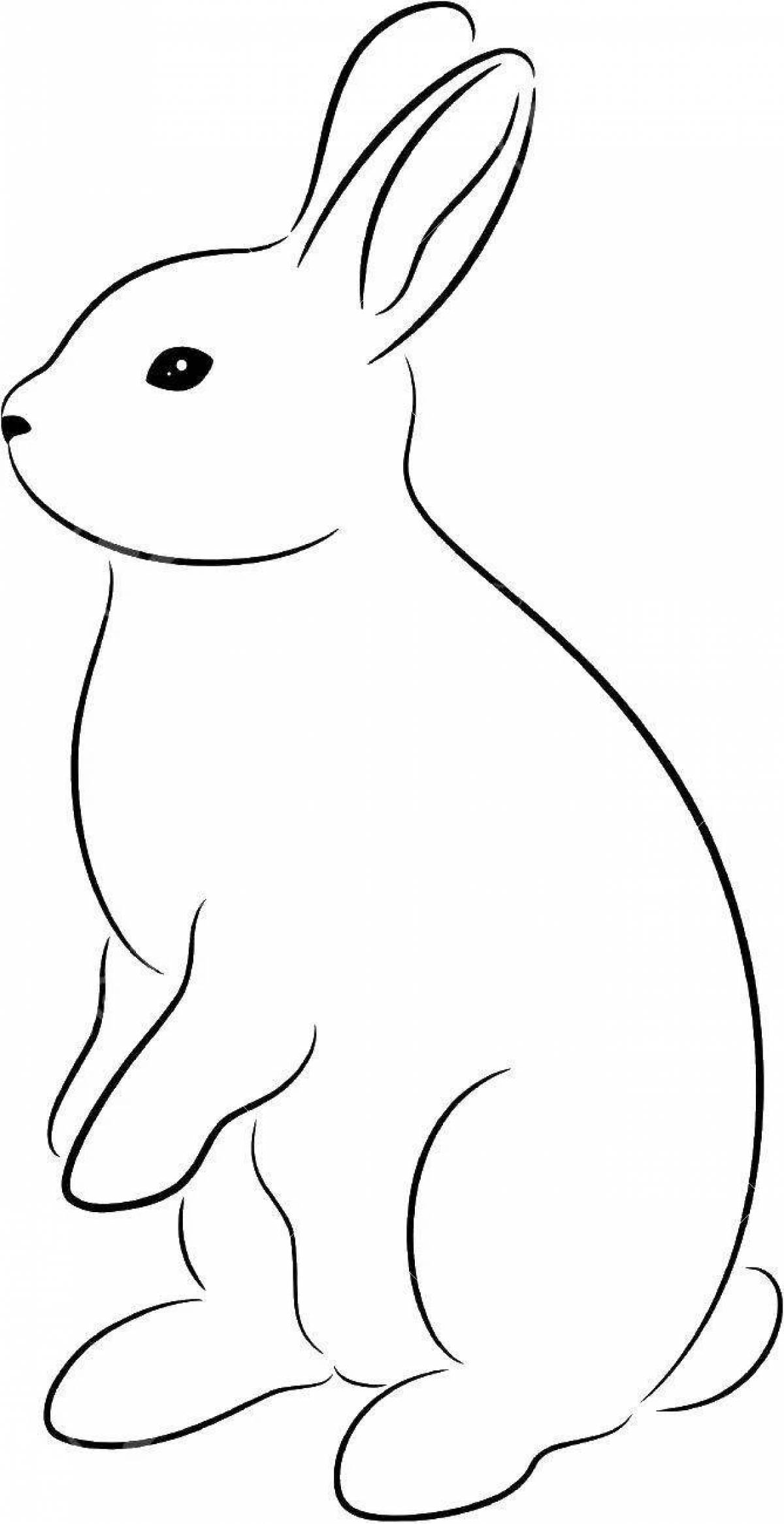 Как нарисовать кроликов