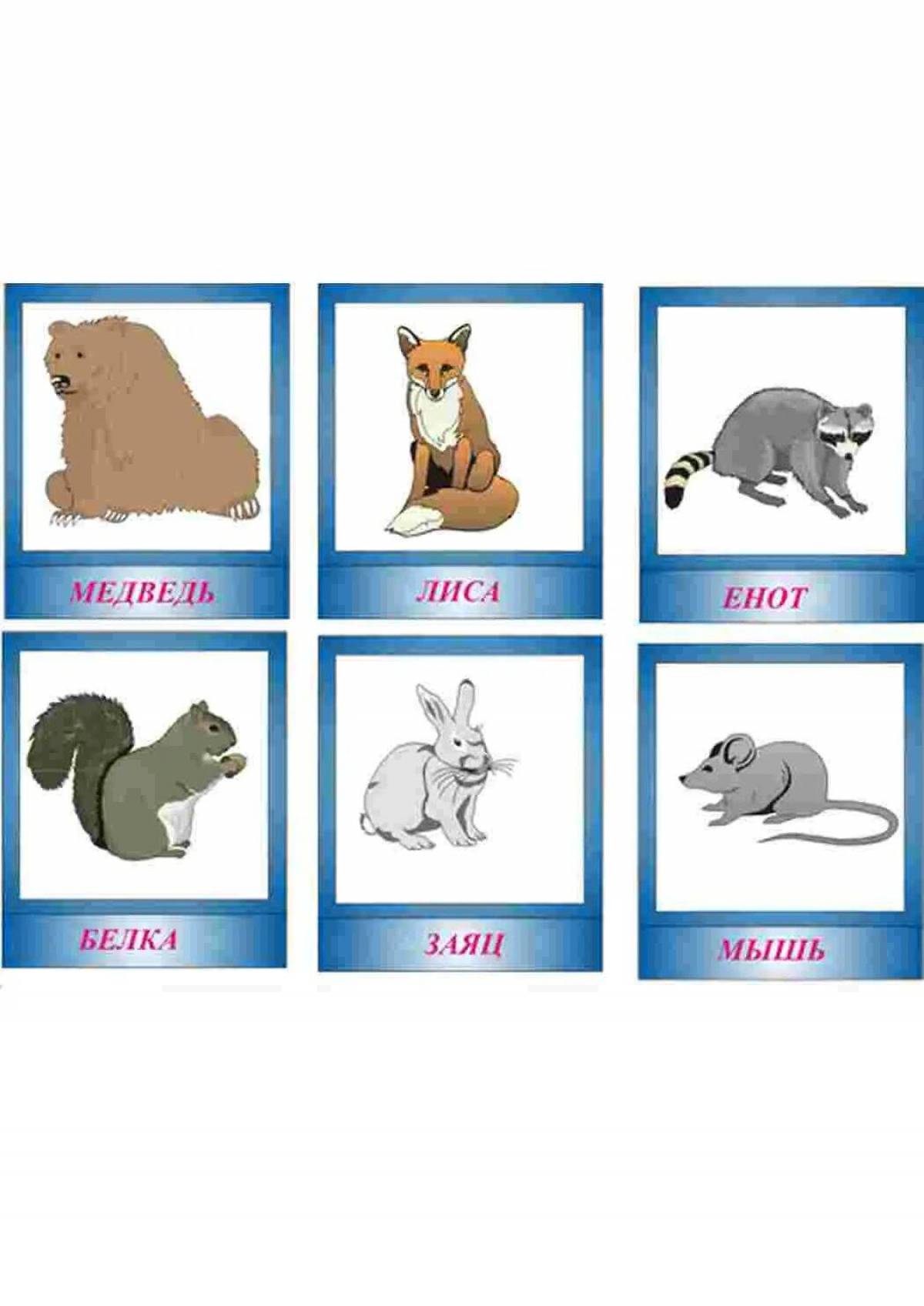 Собака лиса медведь. Карточки диких животных для детей. Дикие животные карточки для детей. Карточки Дикие животные для дошкольников. Карточки с изображением зайца.