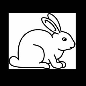 Раскраска заяц для детей для 3 лет #4 #312350