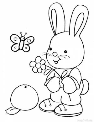 Раскраска заяц для детей для 3 лет #11 #312357