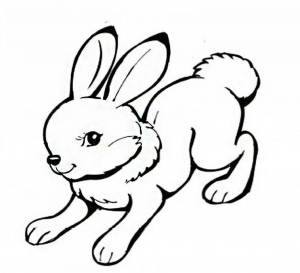 Раскраска заяц для детей для 3 лет #15 #312361